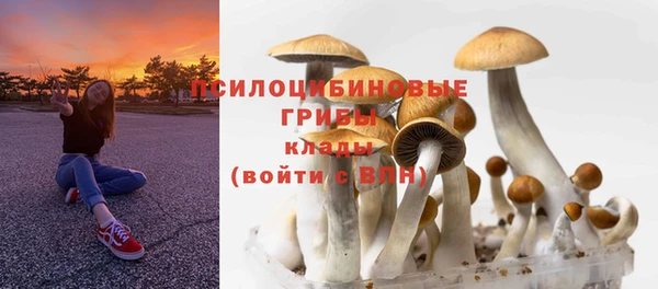 альфа пвп Богданович