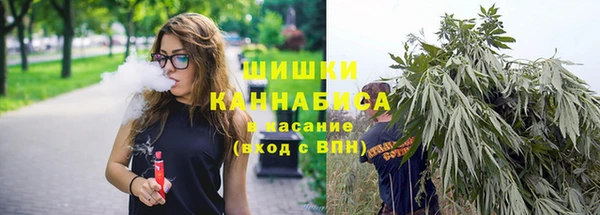 a pvp Богородицк
