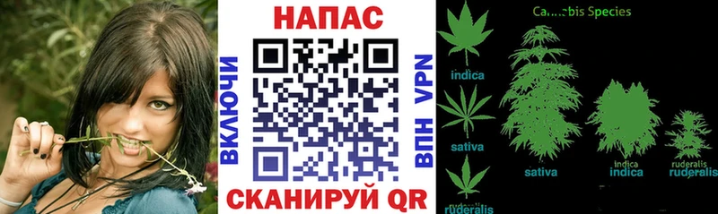 Бошки марихуана SATIVA & INDICA Пермь